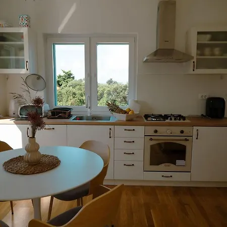 Seaside House For Families With Children Cove Nevidjansko Polje, Pasman - 24036 Tatil Evi